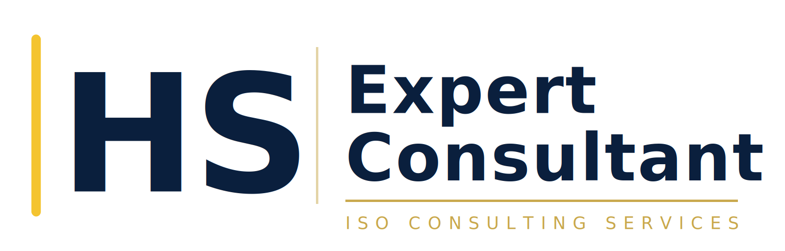 HS Expert Consultant